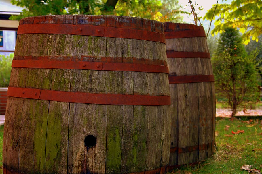 botte, wine, tino, ancient, barrel, wooden barrels, wine barrels, wood, wood - Material, plant