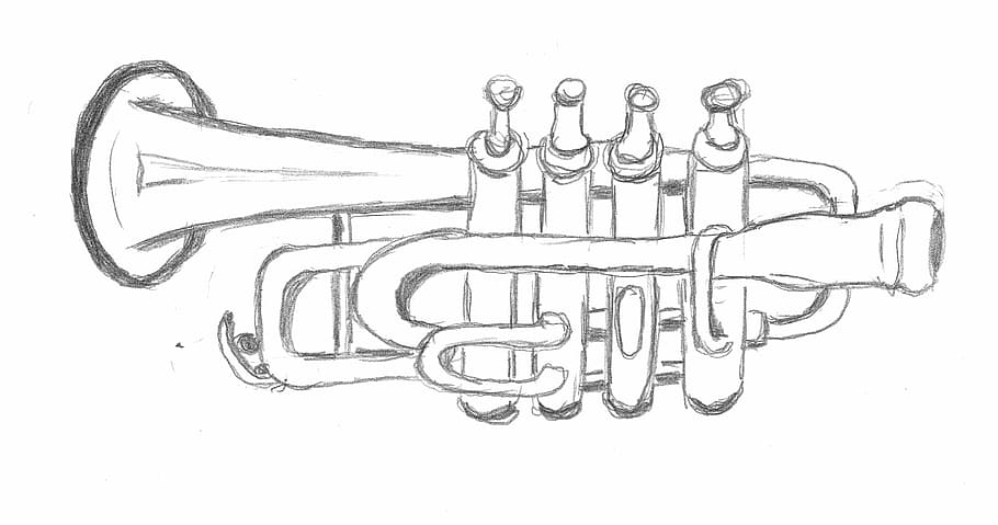 bosquejo de trompeta, dibujo, trompeta, bosquejo, pintura, imagen, instrumento musical, dibujo a lápiz, fondo blanco, color blanco