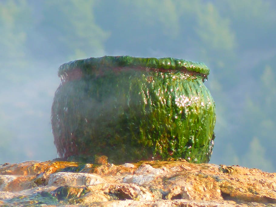 shallow, photography, green, bowl, pot, cooking pot, cauldron, slick, slimy, steam