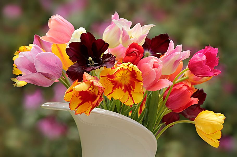 tulipanes de colores variados, foto de primer plano de floración, naturaleza, planta, tulipanes, tulipa, colorido, flores cortadas, de pie en un florero, bonita
