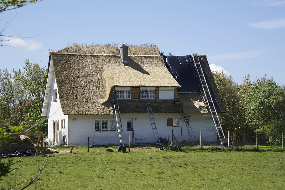 thatched roof, roof, roofers, reed, home, building, thatched, grass roof, work, new
