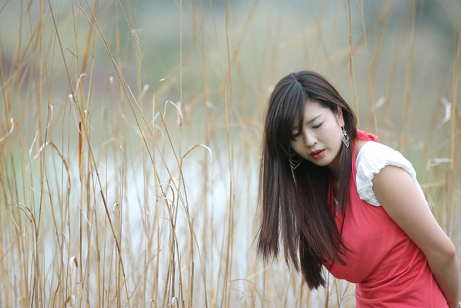 女性, 赤, 白, ドレス, 横, 干し草の山フィールド, 韓国人女性, 人々, 韓国, 長い髪