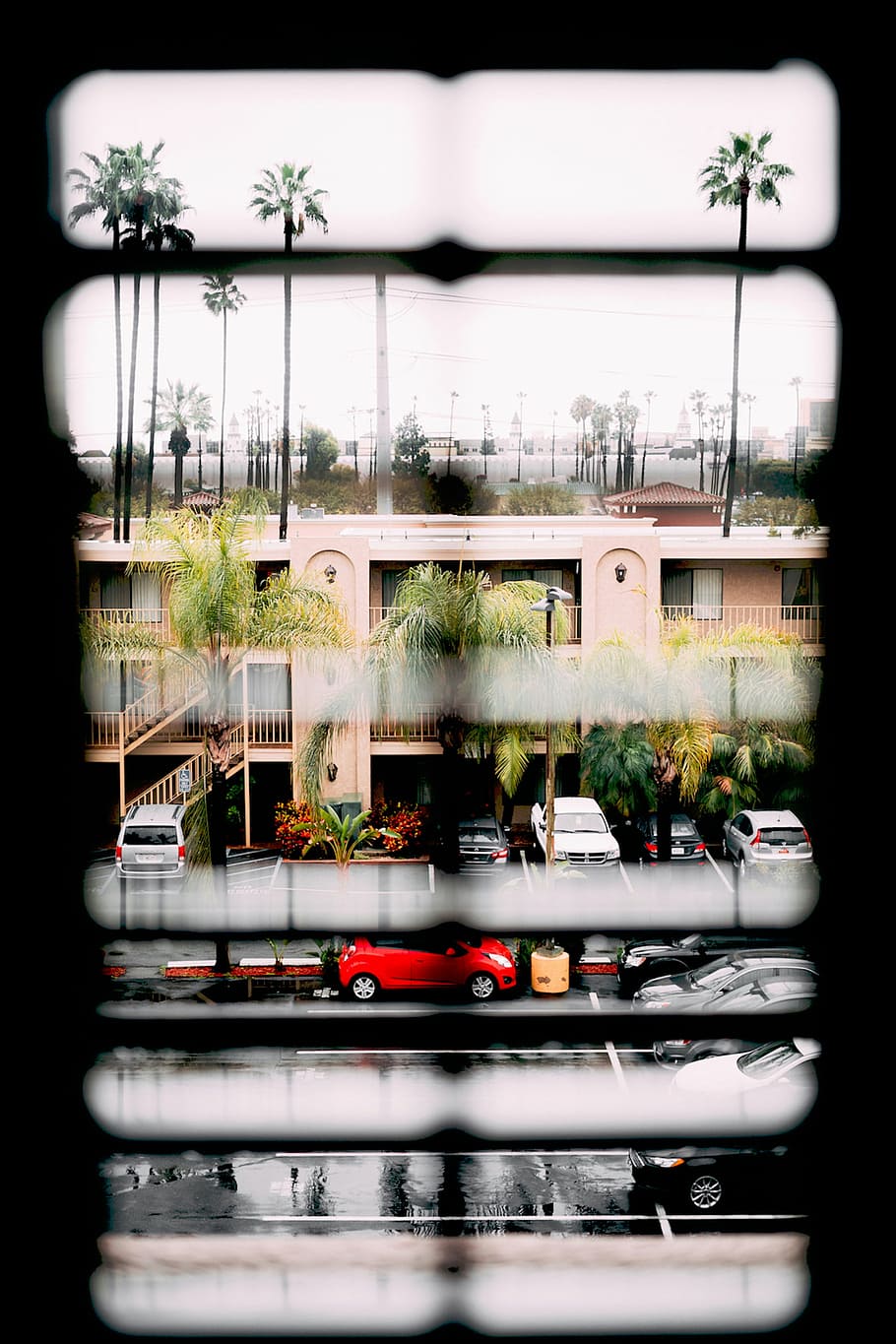 rad, buildings view, window blinds, house, window, cars, trees, apartment, view, urban Scene
