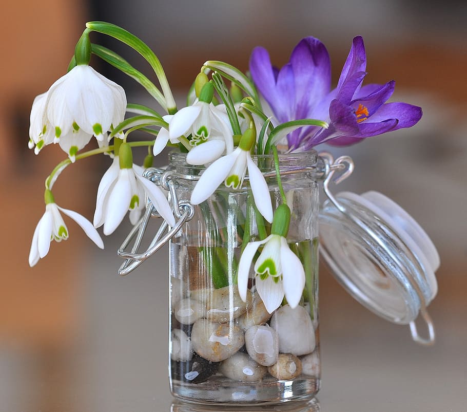 white-and-purple flowers, clear, glass vase, snowdrop, lily of the valley, crocus, flowers, white, purple, stones