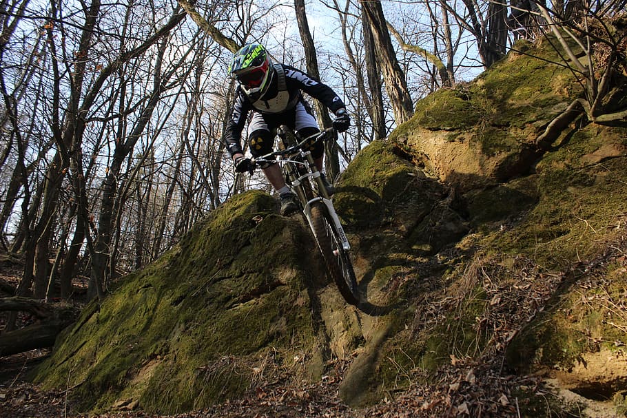 Round, Downhill, Forest, Rock, Cyclist, mtb, low angle view, bicycle, tree, blurred motion