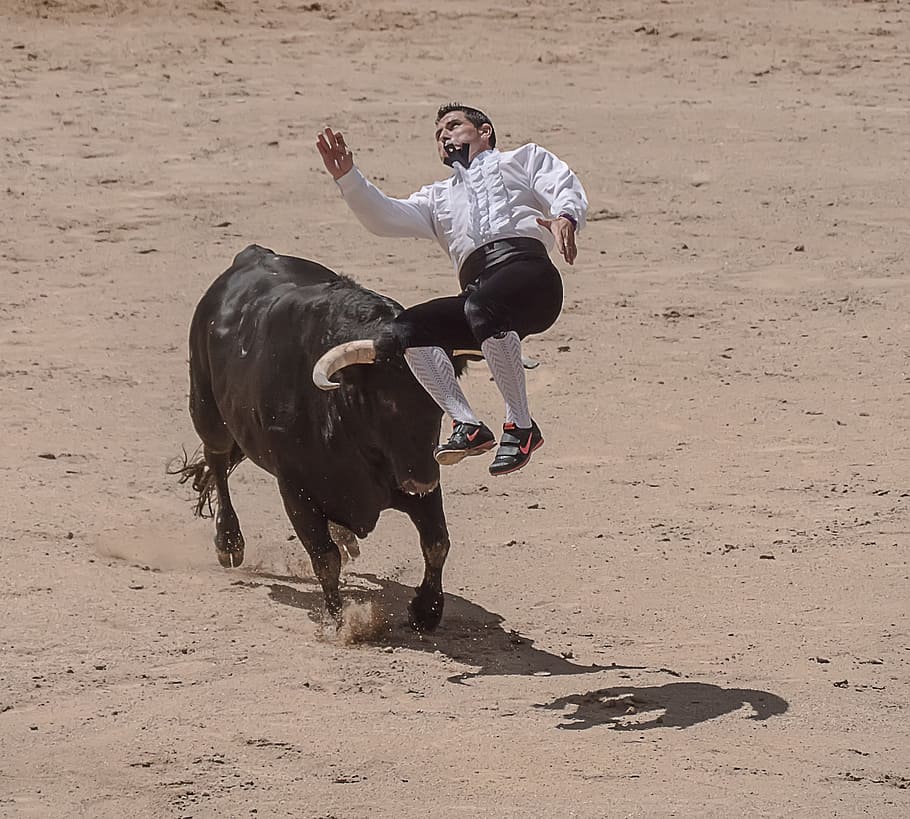 Trimmers, Torero, Bullfighters, Sales, madrid, bulls, spain, plaza, ring, matador