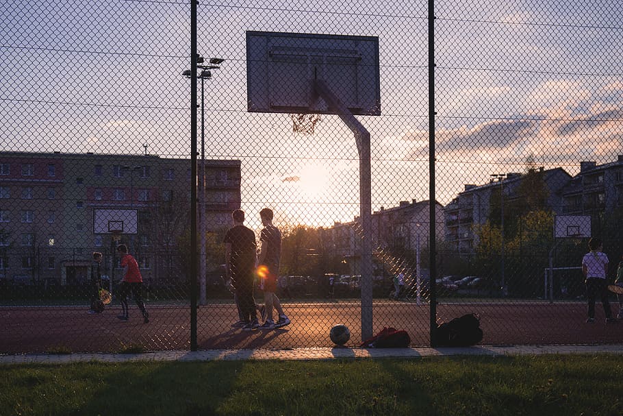men, playing, basketball, golden, hour, people, active, activity, ball, basket