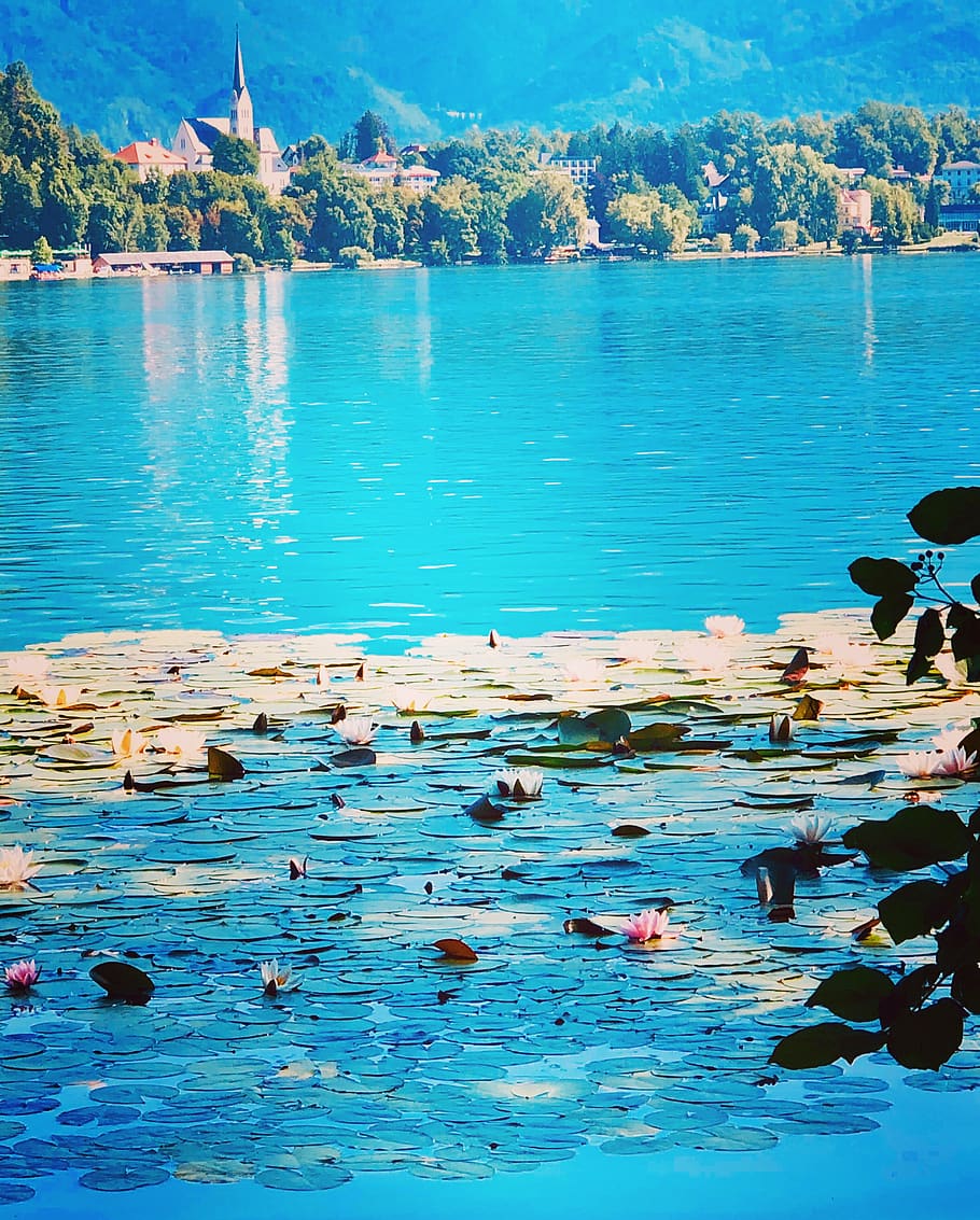 bled, lake, slovenia, water, travel, nature, beauty in nature, sea, scenics - nature, tranquility