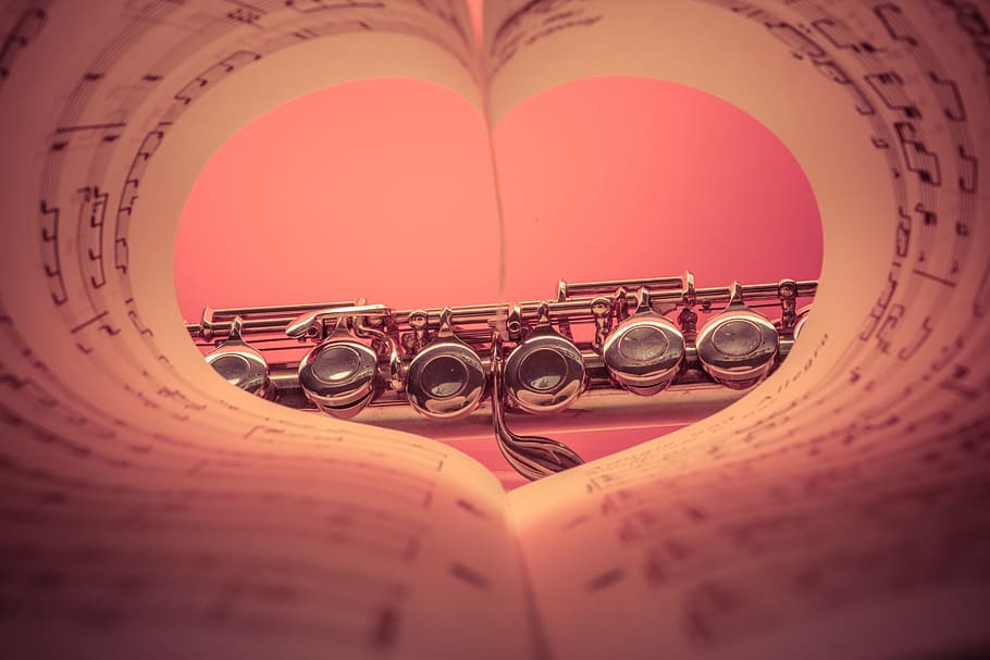 clarinete plateado, corazón, curva, vista de libro, flauta, plateado, música, instrumento, clásico, flauta transversal