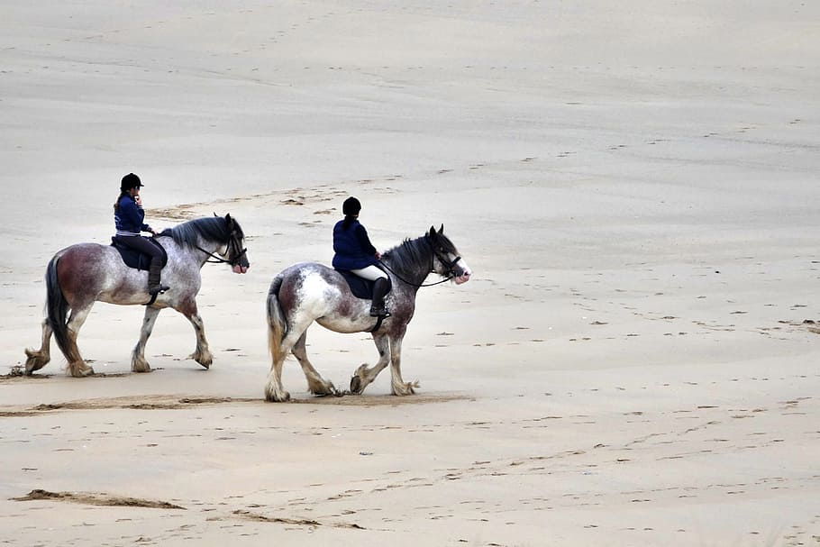 two, person, riding, horse, grey, sand, daytime, riding horse, beach, horses
