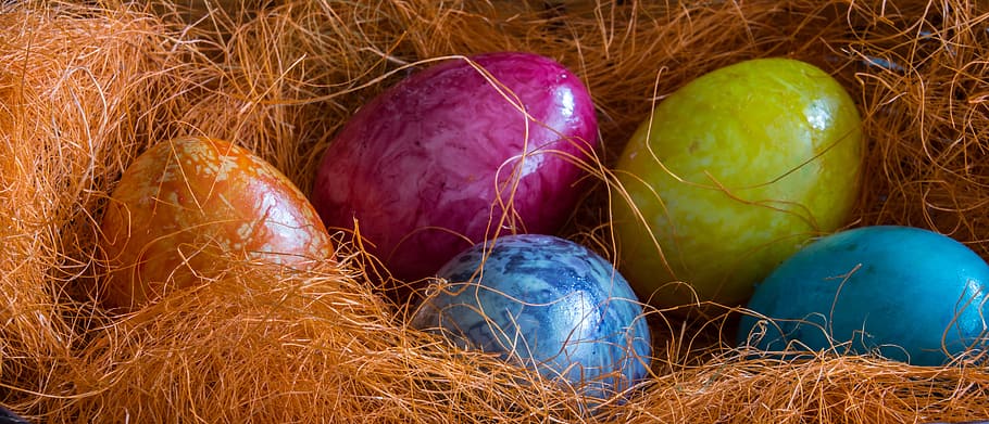 Easter Eggs, Holiday, Spring, easter, egg, celebration, color, decoration, colorful, yellow