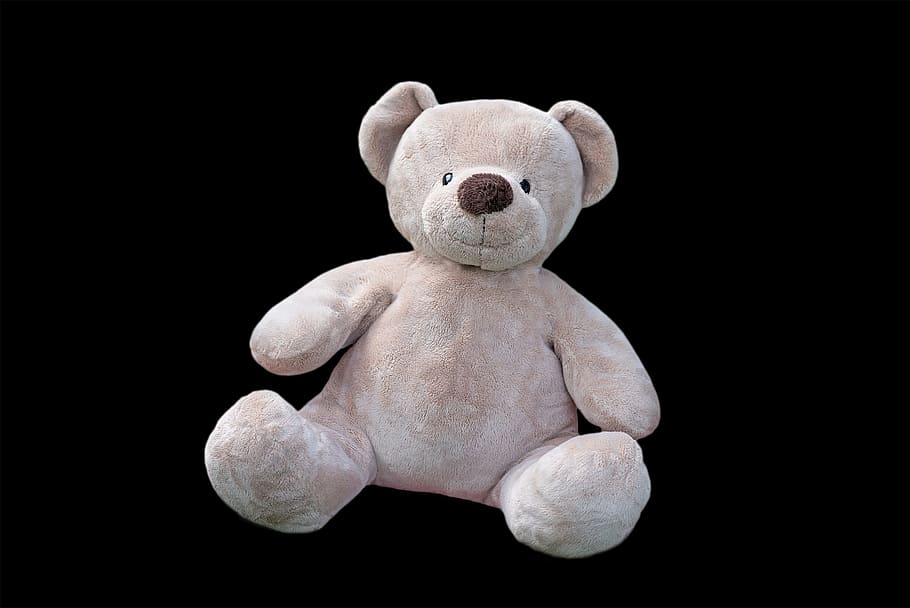 brown, bear, plush, toy, teddy, teddy bear, soft toy, stuffed animals, bears, stuffed animal