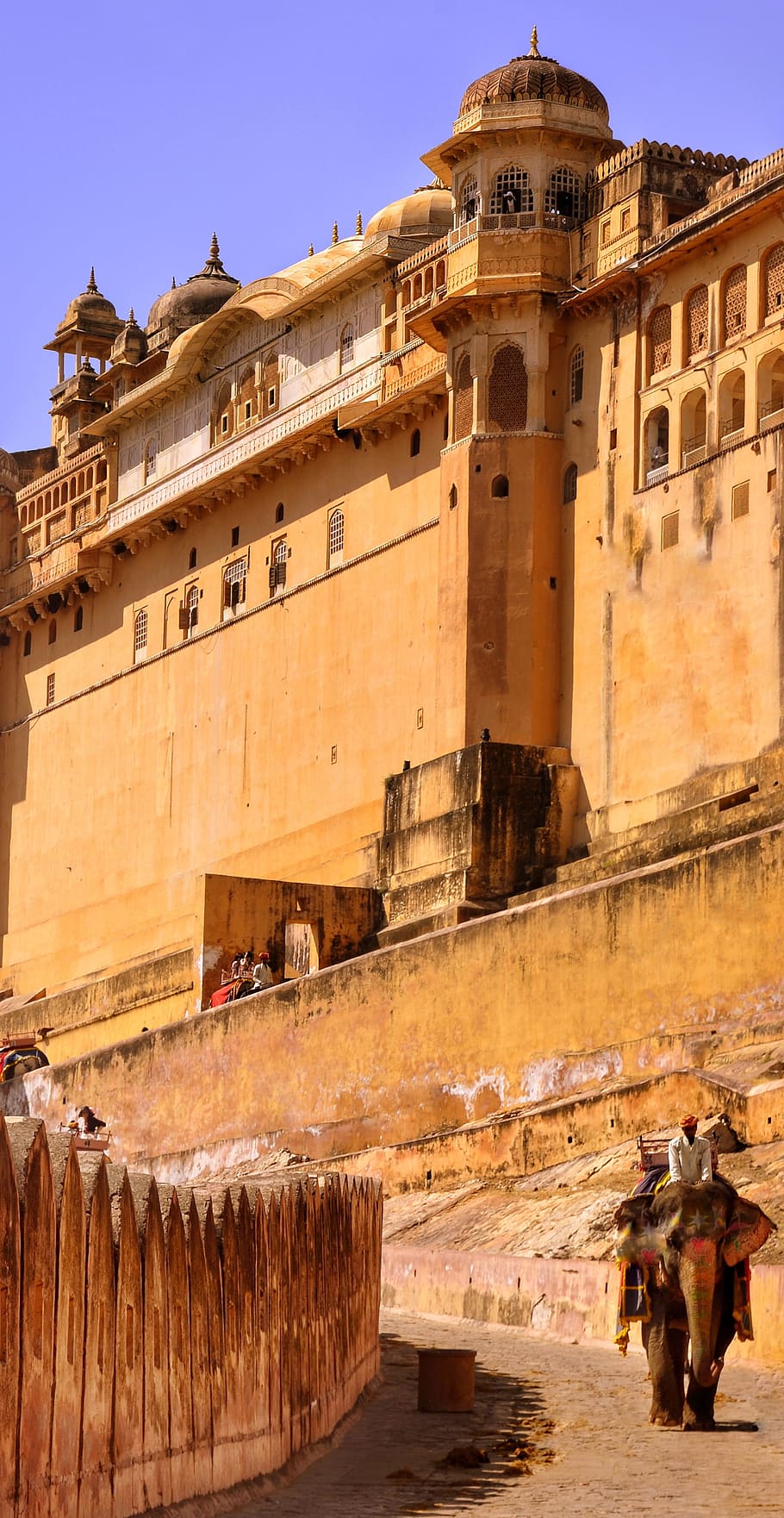 amber fort, fort, amer, jaipur, elephant, tourist, rajasthan, ride, architecture, travel