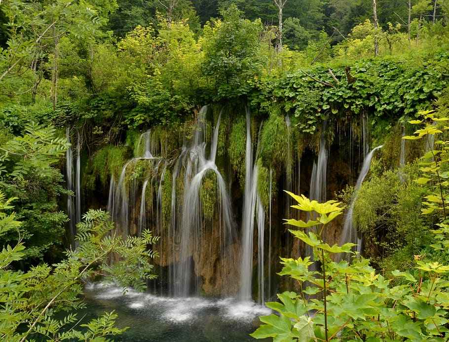 croatia, plitvice, lakes, waterfall, tropical, lush, plant, tree, beauty in nature, growth