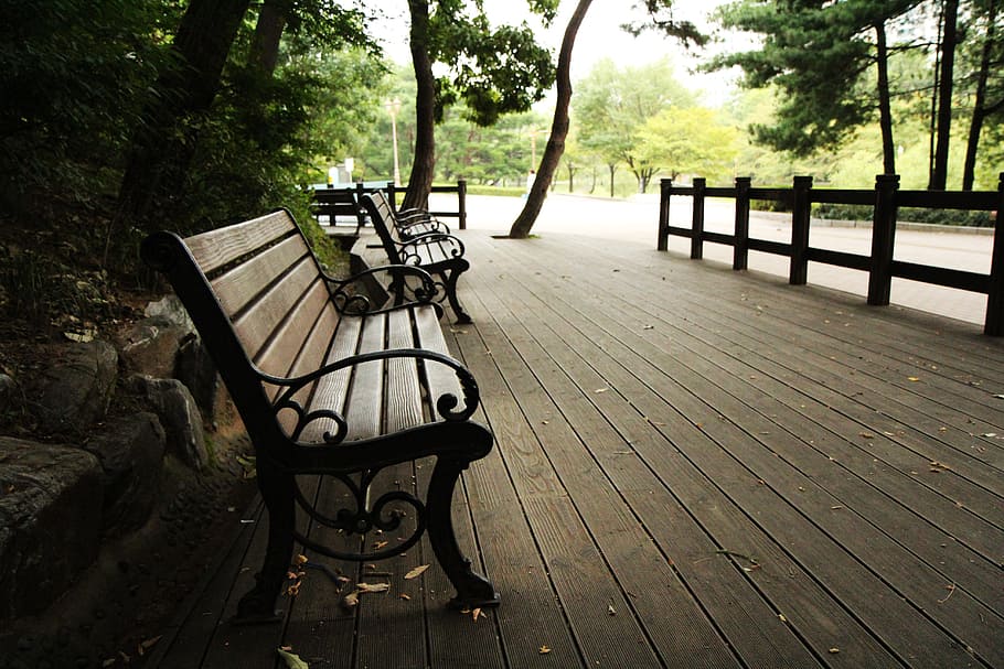 Pausa, escute, parque, ben ouça, árvore, madeira - material, nevoeiro, ninguém, antiquado, natureza