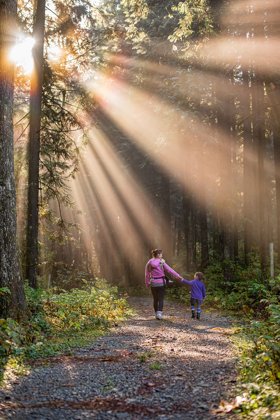 two, female, pathway, surrounded, trees, beautiful, british columbia, canada, child, daughter