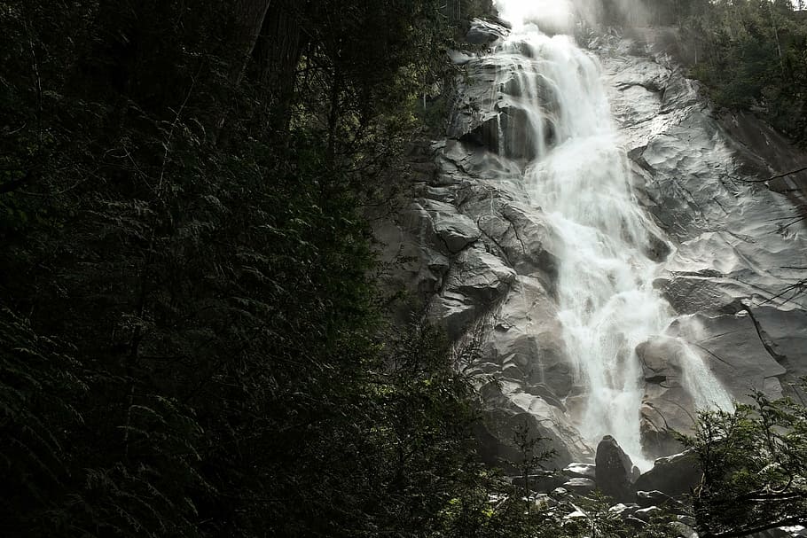 grayscale photo, plunge waterfalls, waterfall, stream, water, nature, green, trees, landscape, rocks