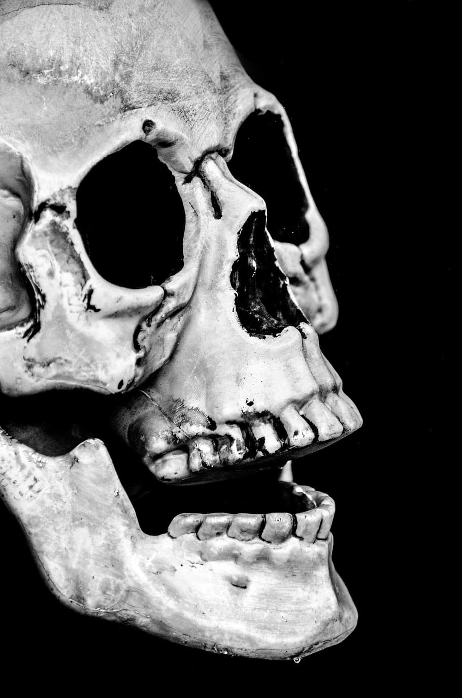 인간의 두개골 그림, 두개골, 할로윈, 사람들, 마스크, 더미, 무서운, 휴일, 뼈, 극적인