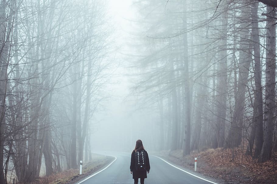 woman, standing, bare, trees, daytime, fog, mist, road, lost, girl