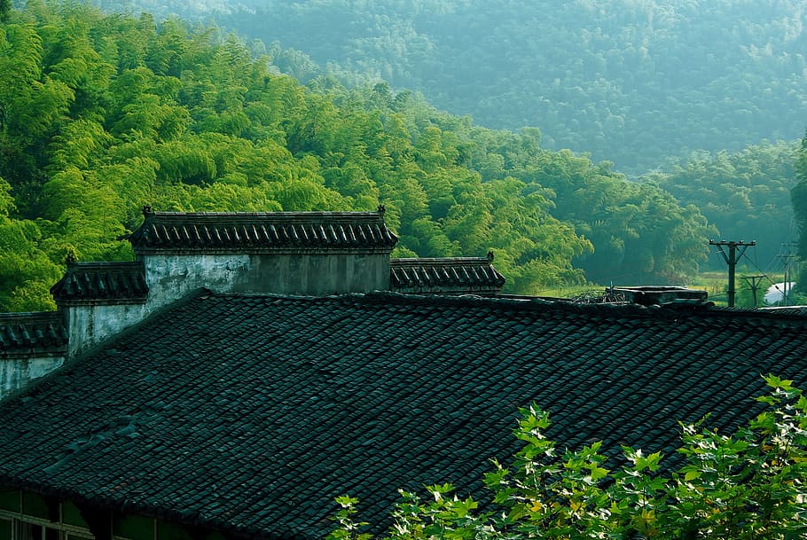 house, surrounded, trees, Roof, Tile, Sichuan, Yibin, Bamboo, roof, tile, sichuan yibin