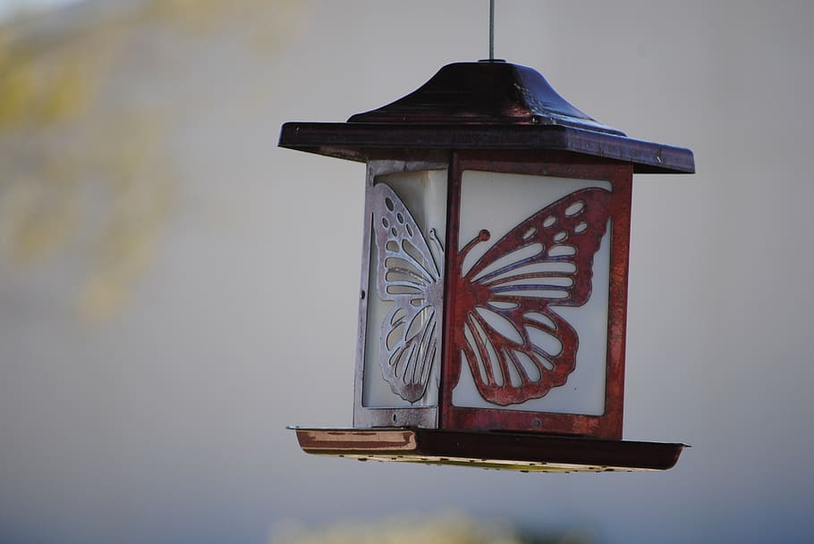 close-up photo, brown, butterfly lantern lamp, lamp, butterfly, symbol, power, green, idea, design