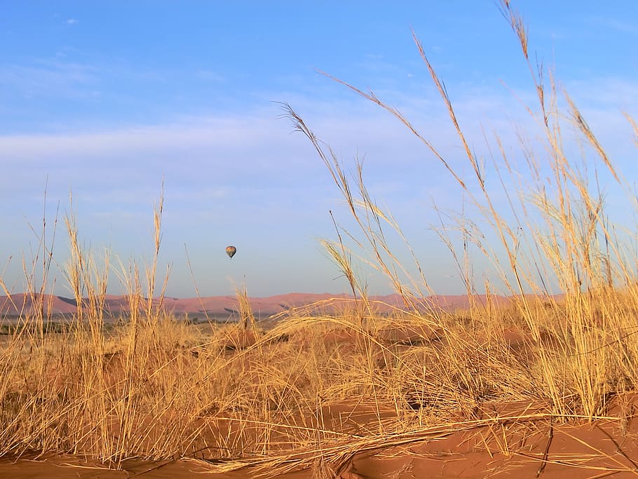 namibia, desert, namib, baloon, roter sand, landscape, sand, sky, plant, land