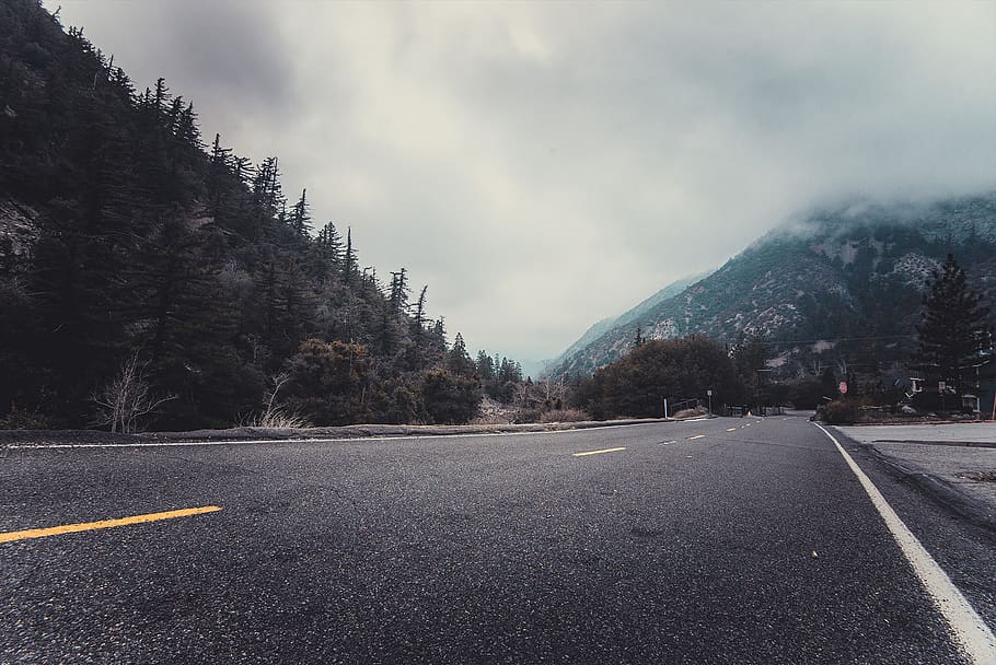 autopista, invierno, frío, montaña, bosque, amarillo, líneas, coníferas, abeto, niebla