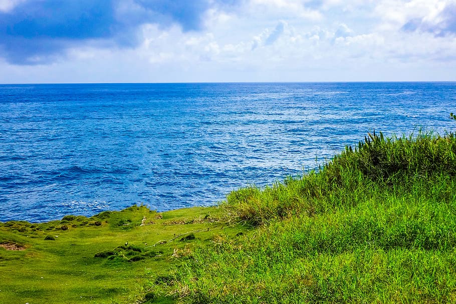 foto, verde, campo de hierba, cuerpo, agua, durante el día, mar, Atlántico, costa, océano