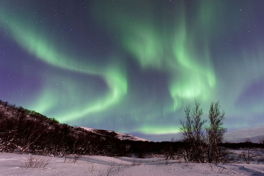 aurora boreallis hijau, astronomi, aurora, aurora australis, aurora borealis, cerah, senja, malam, lanskap, alam