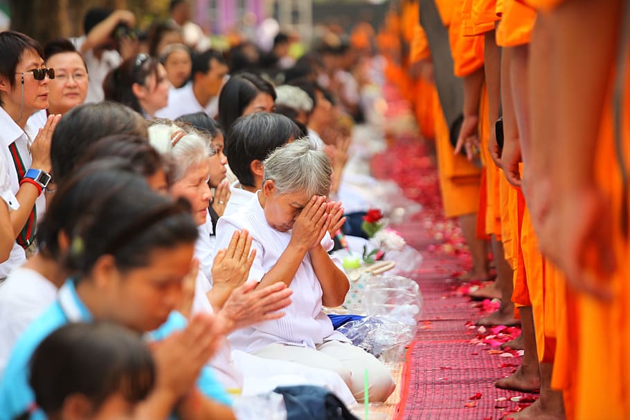 monks, buddhists, praying, buddhism, religious, meditate, rose petals, tradition, thailand, wat