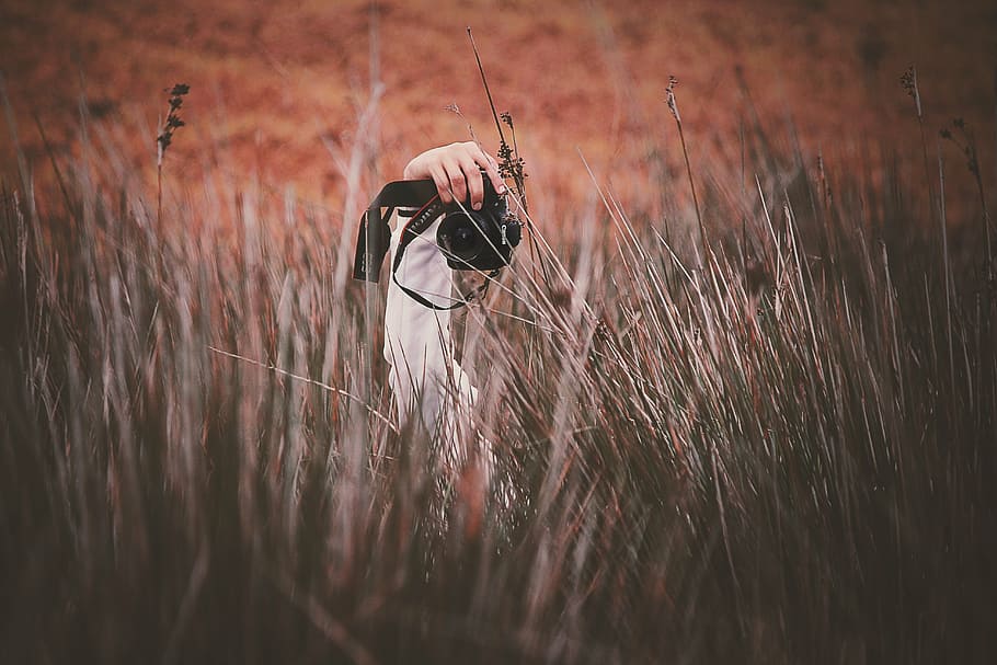 person, holding, black, dslr camera, grass, people, hand, camera, photography, field