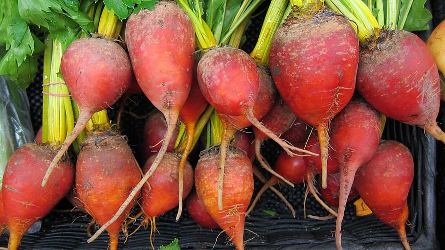 bunch, red, radish, beets, local, organic, healthy, market, food, farmers