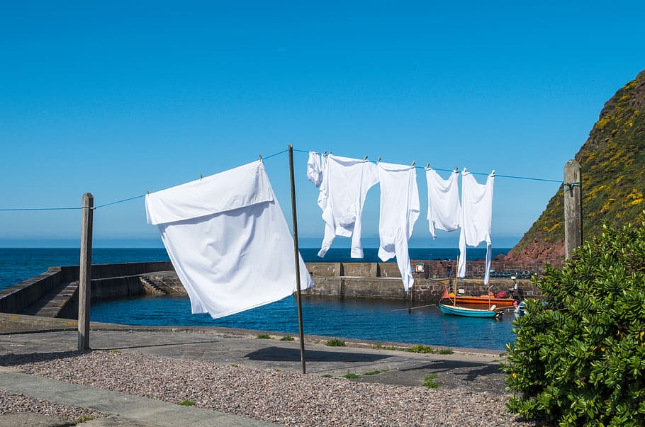 white, cloth, wire, blue, laundry, clothes line, dry, clothes peg, hang, leash