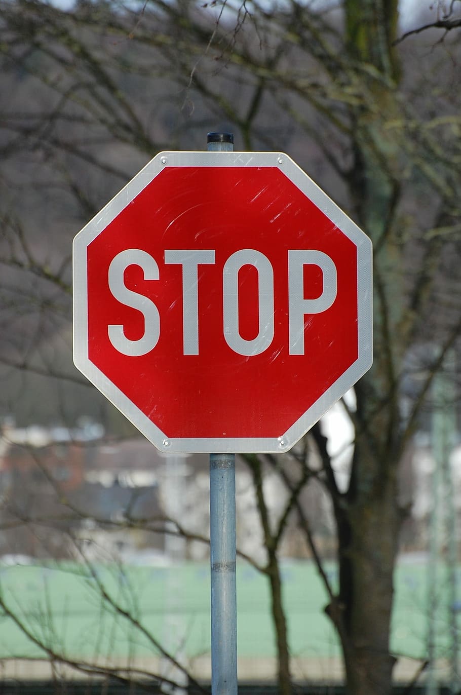 Stop, Shield, Warning, White, red, warnschild, street sign, traffic sign, stop sign, text