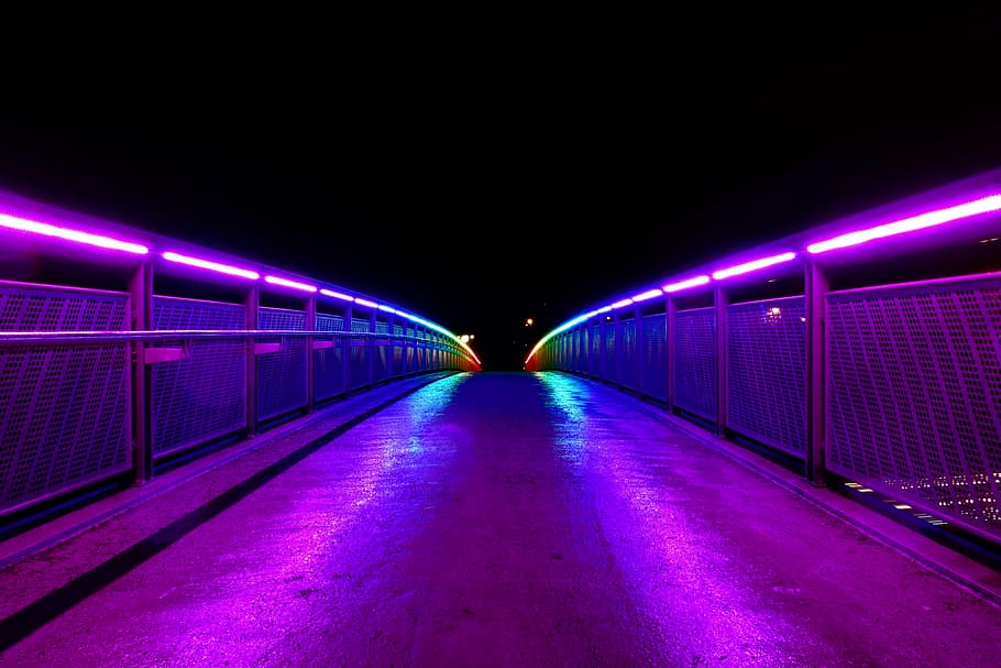 empty, bridge, purple, blue, neon lights, light, color, night, reflection, lighting