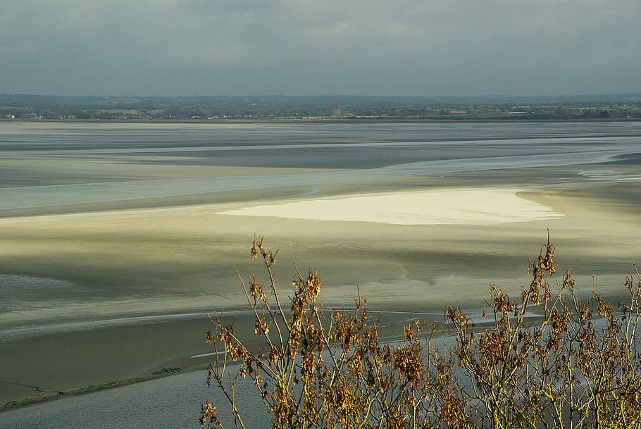 Normandy, Bay, Low Tide, mont saint michel, nature, water, tranquility, outdoors, tranquil scene, beauty in nature