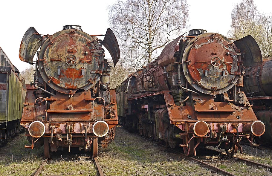 two, brown, trains, railway, lost place, lokfriedhof, stainless, corrosion, steel, br44