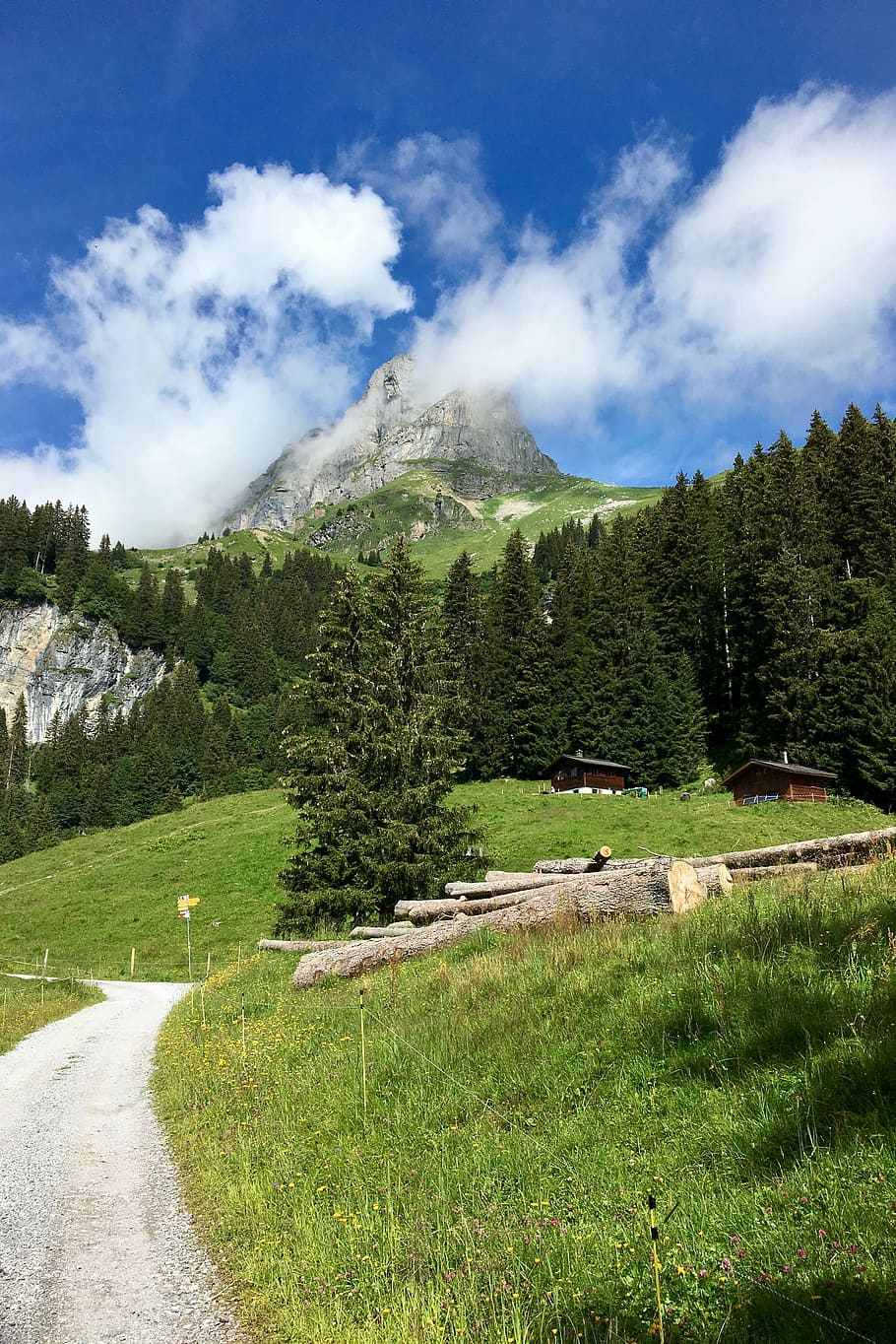 mountain, clouds, trail, landscape, sky, alpine, glarus, switzerland, braunwald, plant