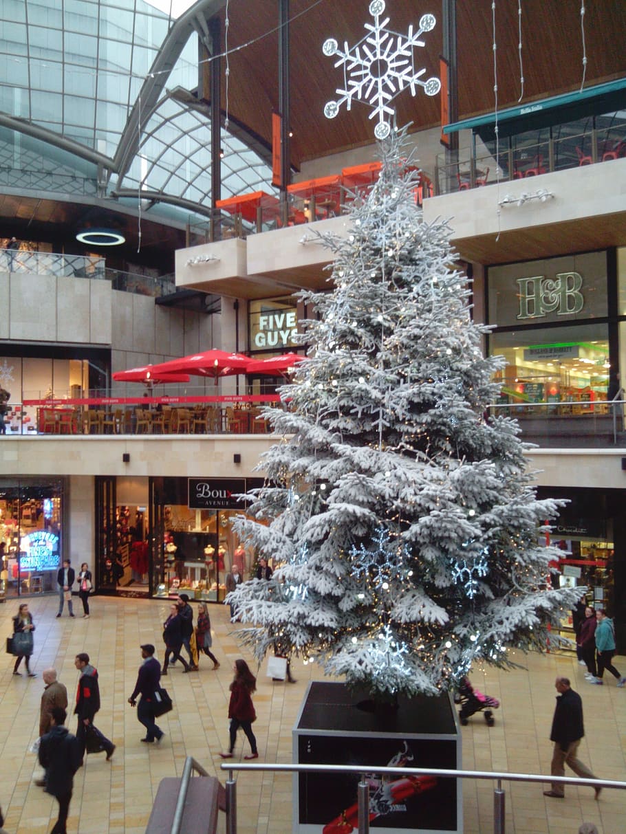 christmas, tree, pine, star, lights, shopping plaza, holiday, celebration, decoration, christmas tree