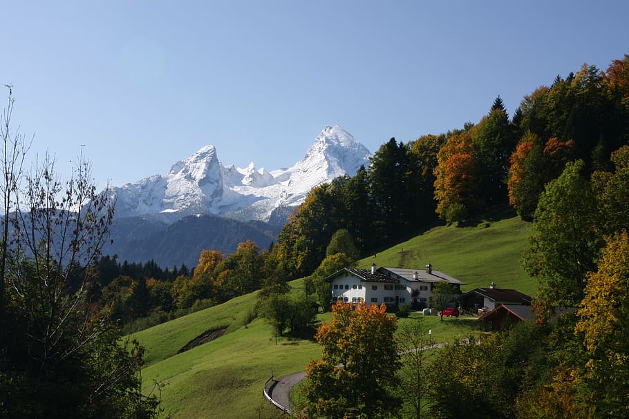 white, brown, house, green, grass field, berchtesgaden, bavaria, watzmann, germany, mountain