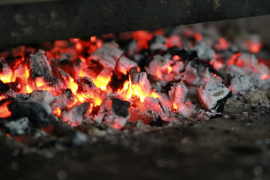 carvão, fogo, lenha, queimaduras, fogueira, queimadura, febre, cinza, queimado, faísca
