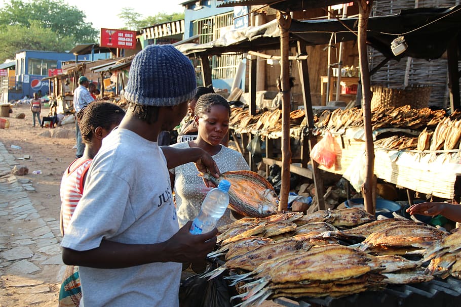 Market, Dry, Fish, Outdoors, Africa, Town, dry fish, luangwa, zambia, retail