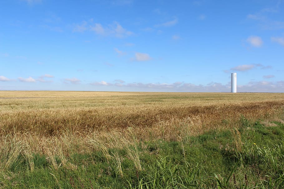 Wheat, Water Tower, Blue Sky, Farmland, grass, oklahoma, sky, field, landscape, nature