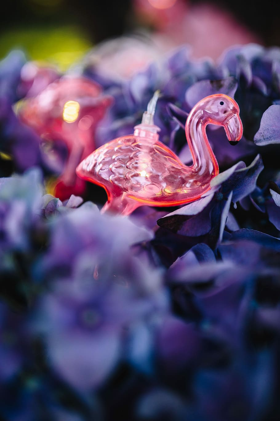 guirlanda de luz flamingo, &, rosa, flores, flamingo, luz, guirlanda, verão, lâmpada, diversão