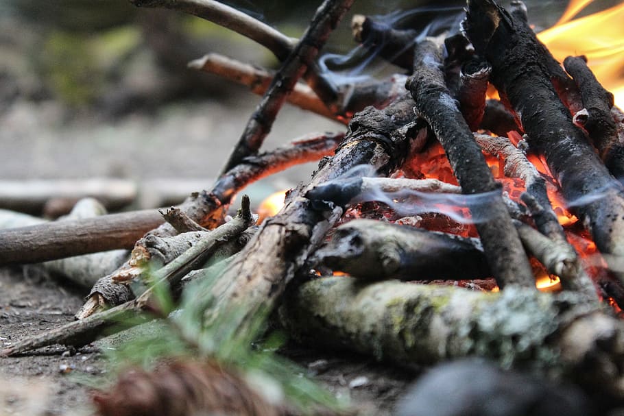 close-up of bonfire, Fire, Summer, Camp, Camp, Wood, campire, summer, camp, wood, tourism, camping