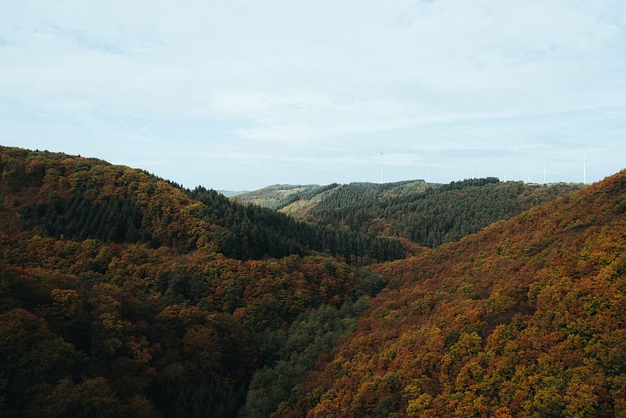 aéreo, fotografía, montaña del bosque, marrón, verde, montañas, montaña, valle, árbol, planta