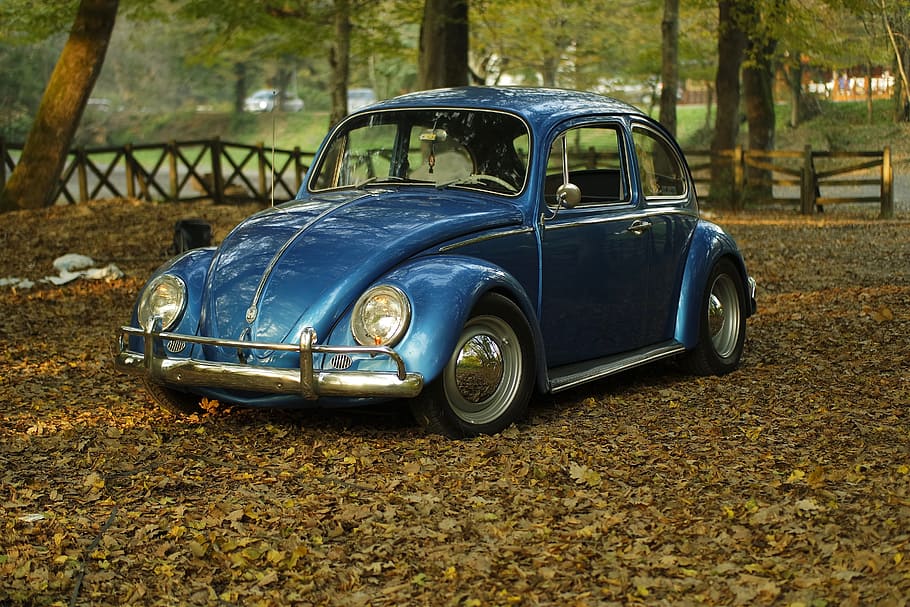 blue, volkswagen beetle coupe, parked, trees, car, vintage, park, leaves, autumn, classic
