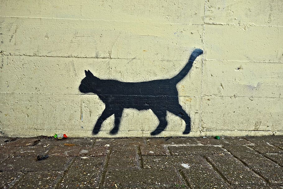 Foto Negro Pintura De Pared De Gato Gato Gato Negro Graffiti Arte Callejero Pared Arte