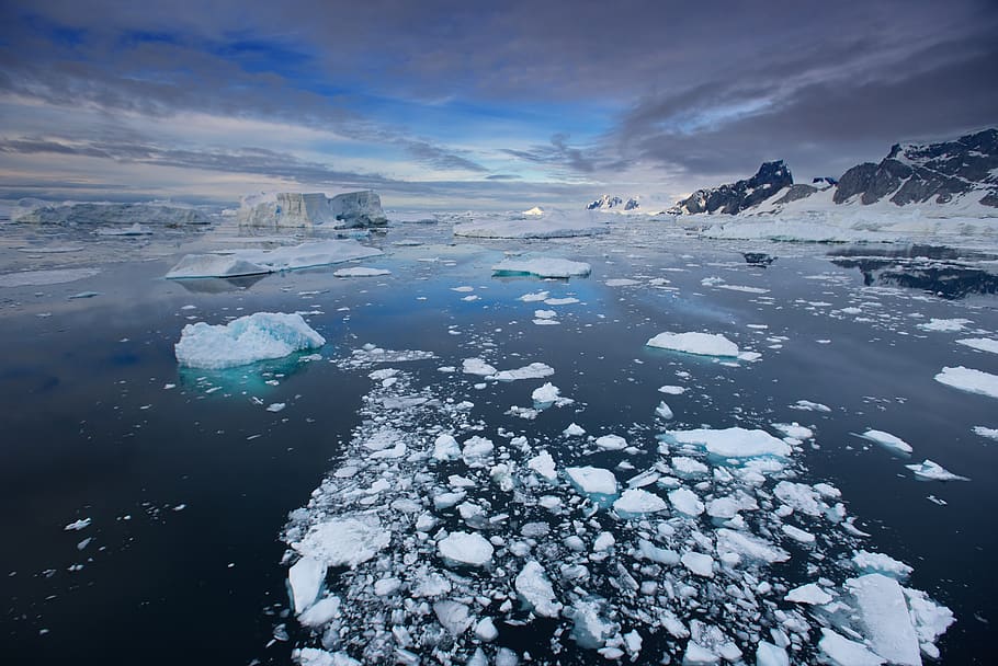 antártica, gelo, icebergue, frio, azul, pólo, sul, alta latitude, oceano, oceano antártico