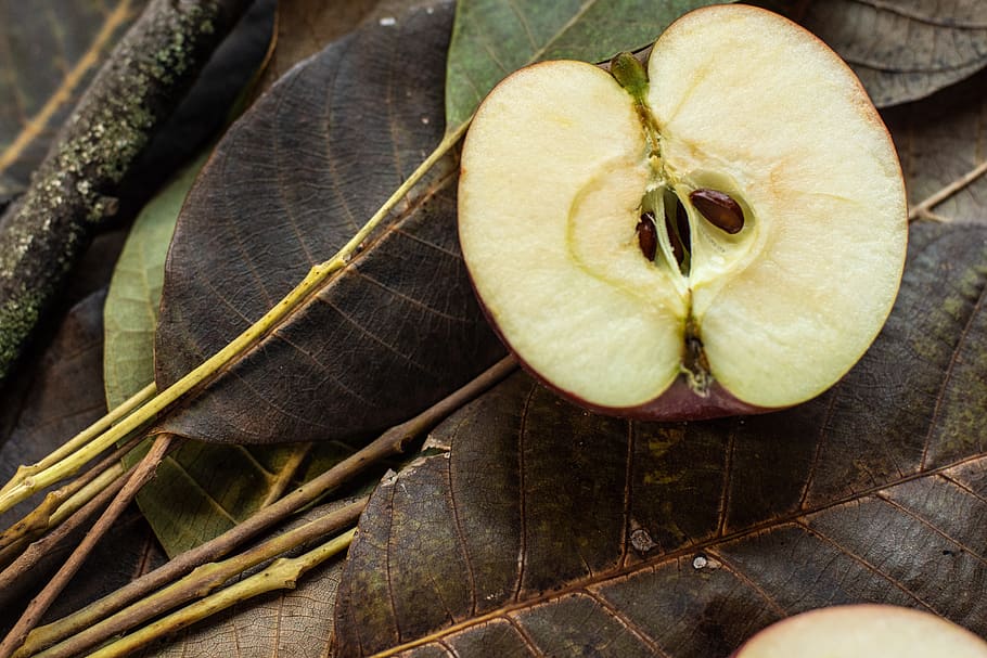 walnut leaves, apple, sliced apple, seeds apple, fruit, healthy food, half of an apple, fresh apple, close-up, plant
